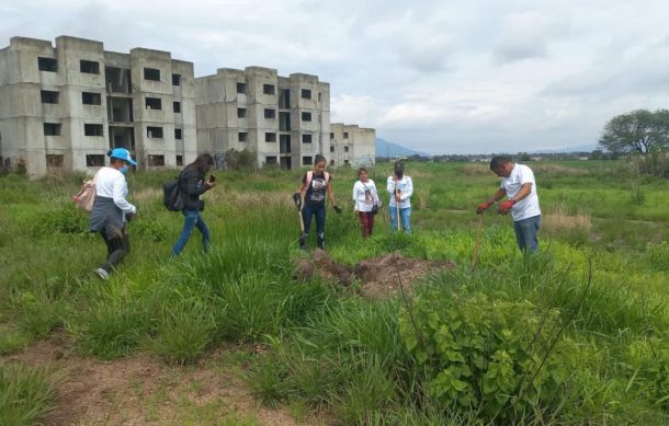 Colectivos localizan tres fosas clandestinas en ZMG