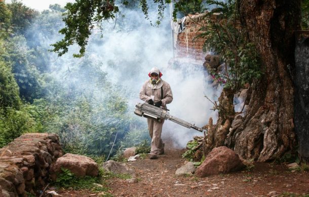 Jalisco reforzará el combate al dengue en vacaciones