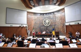 Avalan en comisiones endurecer requisitos para encabezar la Proepa