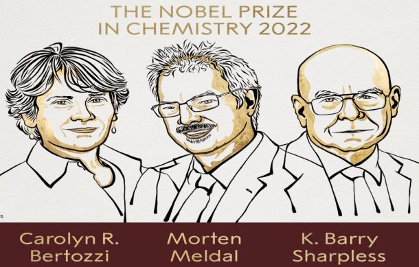 Otorgan el Nobel de Química por estudios sobre moléculas