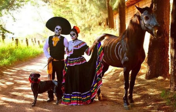 Este 27 de octubre recuerdan a las mascotas muertas