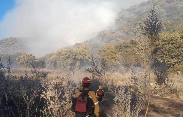 Desactivan emergencia atmosférica en Tala por incendio forestal
