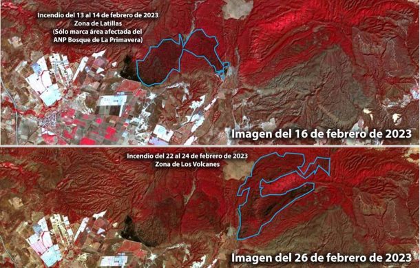 Más de 800 hectáreas habría consumido incendio en La Primavera