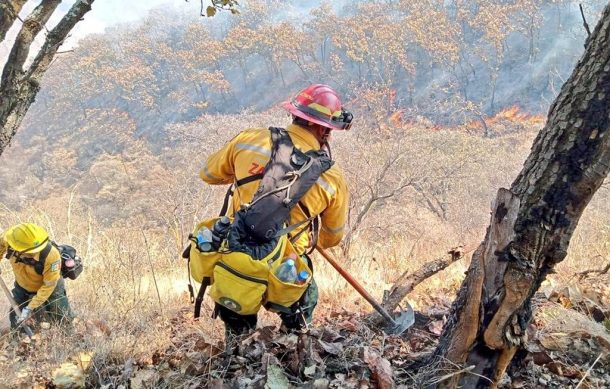 Reportan 500 hectáreas afectadas por incendios en Zapopan