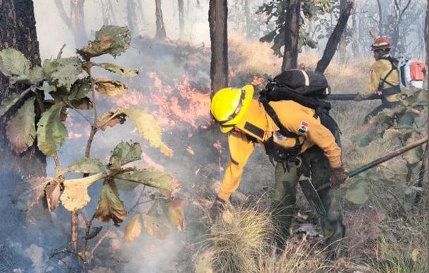 Liquidan dos incendios dentro del Bosque de La Primavera