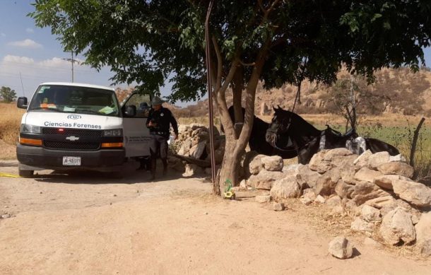 Localizan cadáver en comunidad Río Blanco de Zapopan