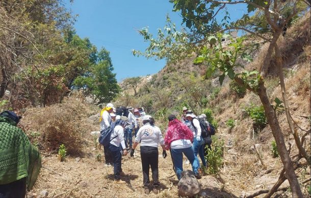 Recuperan más de 130 cuerpos de fosas clandestinas localizadas en enero y febrero