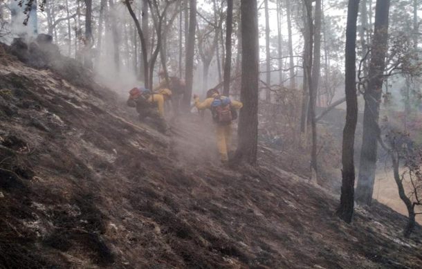 Detienen a cuatro sujetos por provocar incendios forestales en Jalisco