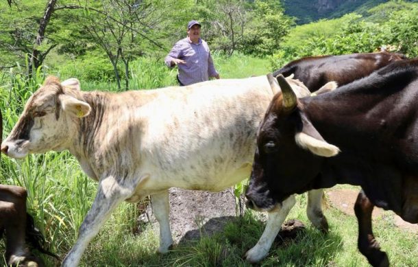 Jalisco se consolida como líder agroalimentario en México