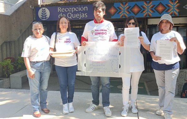 Exigen mayor presupuesto para la protección de bosques