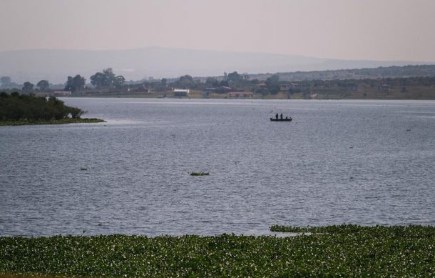 Presas de Jalisco se ubican por encima del 50% de capacidad