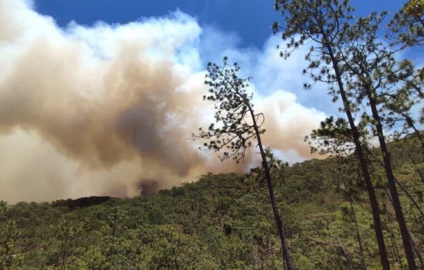 Daños severos a causa de los incendios forestales registrados en Jalisco la última semana