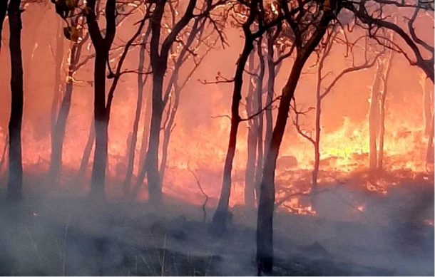 Luchan por contener avance de incendio en cerro entre Zapopan y El Arenal