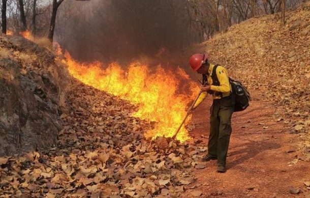 Controlan incendio forestal entre Zapopan y El Arenal