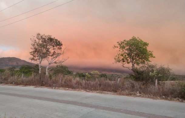 Intentan evitar se propague incendio en La Primavera