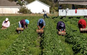 El consulado de México en L.A. refuerza acciones de protección a migrantes