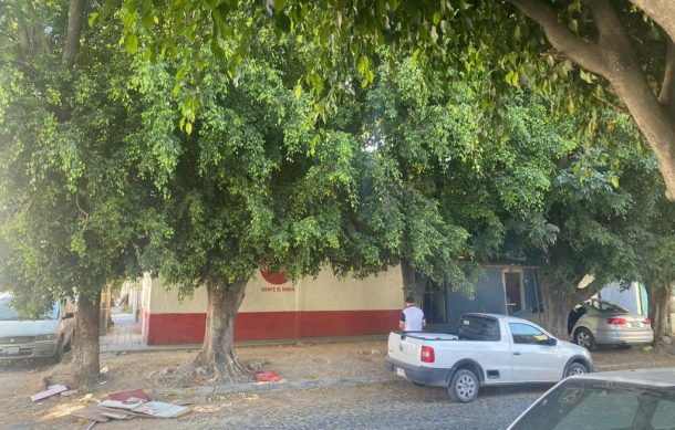 Vecinos de El Mante buscan evitar tala de 15 árboles