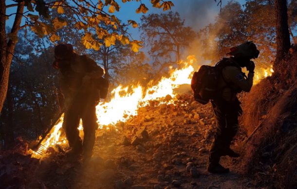 Reportan cuatro fallecidos por incendios forestales en el país