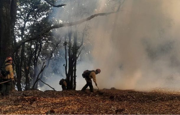 Una semana después logran contener incendio en Cerro Viejo