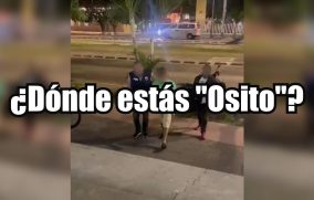 ¿Dónde estás “Osito”?