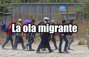 La ola migrante