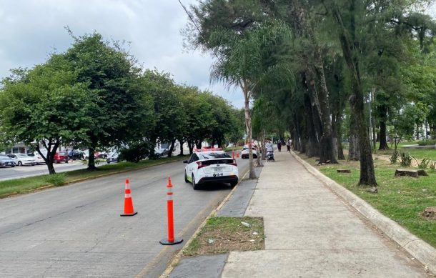 Operativos contra incumplidos en verificación serán más ágiles