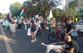 Cientos de personas protestan en CDMX por dos años de guerra en Gaza