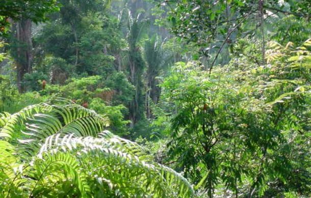 Avanza creación de nueva Área Natural Protegida Federal en Jalisco
