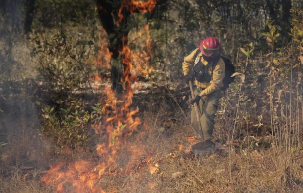 Reportan disminución de incendios forestales en Jalisco