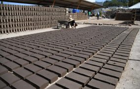 Proepa reporta cumplimiento total de veda ladrillera en ZMG