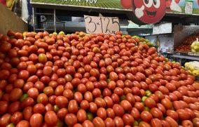Factores externos impulsan alza de precios de cultivos como el jitomate: SHCP
