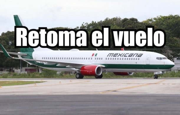 Retoma el vuelo