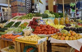 Inflación anual se ubica en 3.55% en la primera quincena de julio