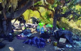 Aumenta en México el reclutamiento forzado por parte del crimen organizado: Rodríguez Contreras