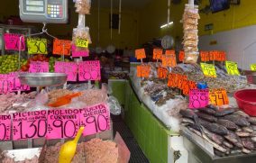 COPRISJAL refuerza vigilancia sanitaria por aumento de temperaturas