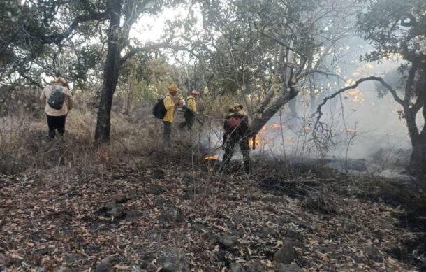 Controlan incendio en el Bosque de La Primavera