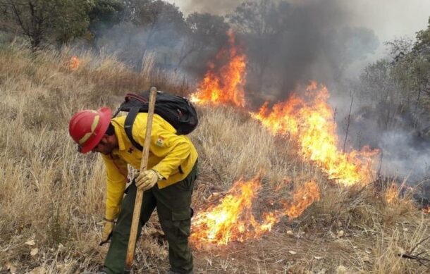 Drones ayudan a detectar personas que provocan incendios forestales