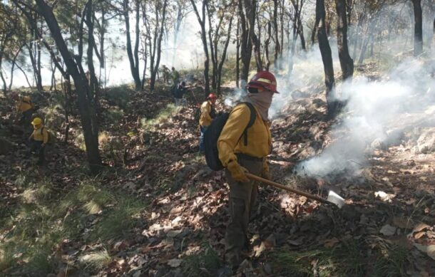 Buscan a sujeto que ha causado incendios en La Primavera