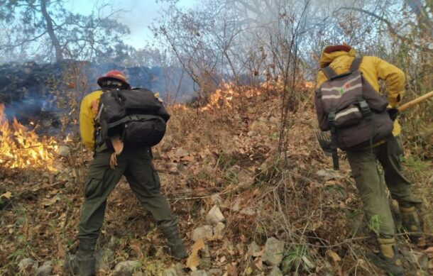 Brigadistas trabajan para sofocar incendio en cerro del Colli