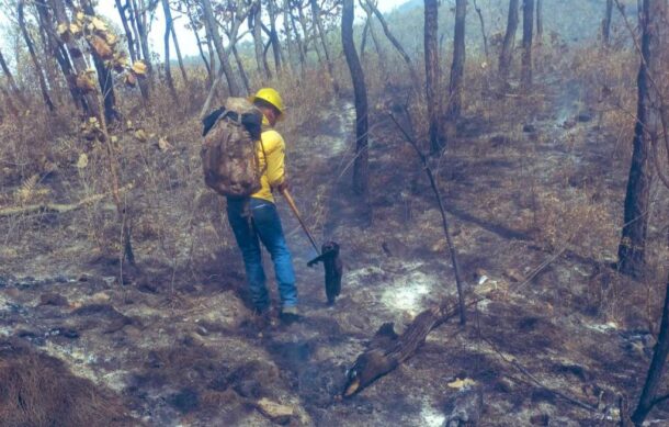 Controlan incendio en el Bosque de La Primavera