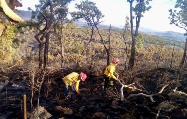 Extinguen incendio que inició este domingo en La Primavera