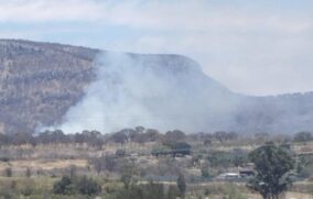 Bomberos combaten incendio en paraje de la autopista a Tepic