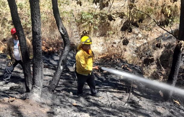 Liquidan incendio en Bugambilias