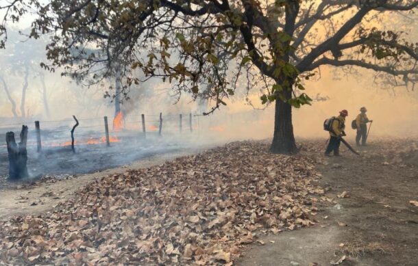 Brigadistas controlan incendio en La Primavera