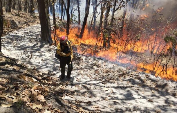 Nuevo incendio afecta al bosque de La Primavera