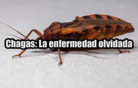 Chagas: La enfermedad olvidada