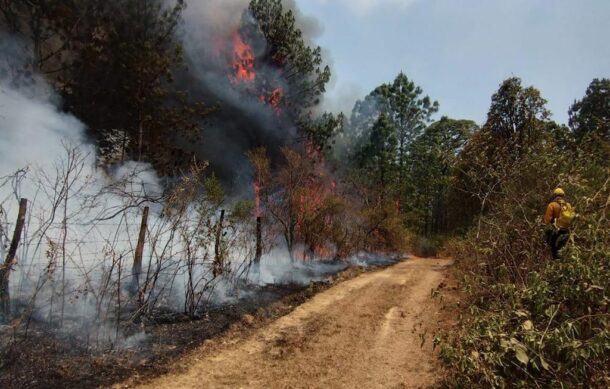 Contienen incendio forestal en Tamazula de Gordiano
