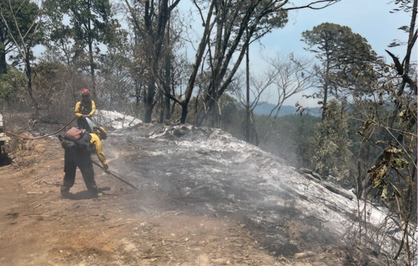 Tras una semana, liquidan incendio forestal en Tamazula