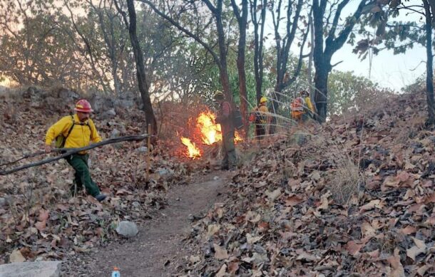 Reportan controlado incendio en cerro del Colli