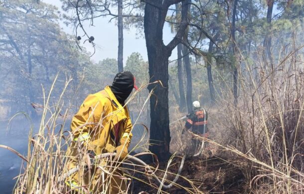Liquidan incendio en cerro de Los Bailarines de Zapopan